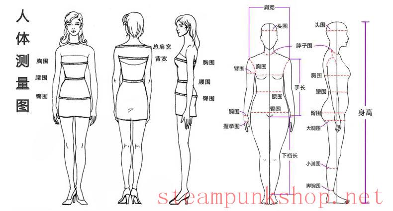 Size Chart - Human Body